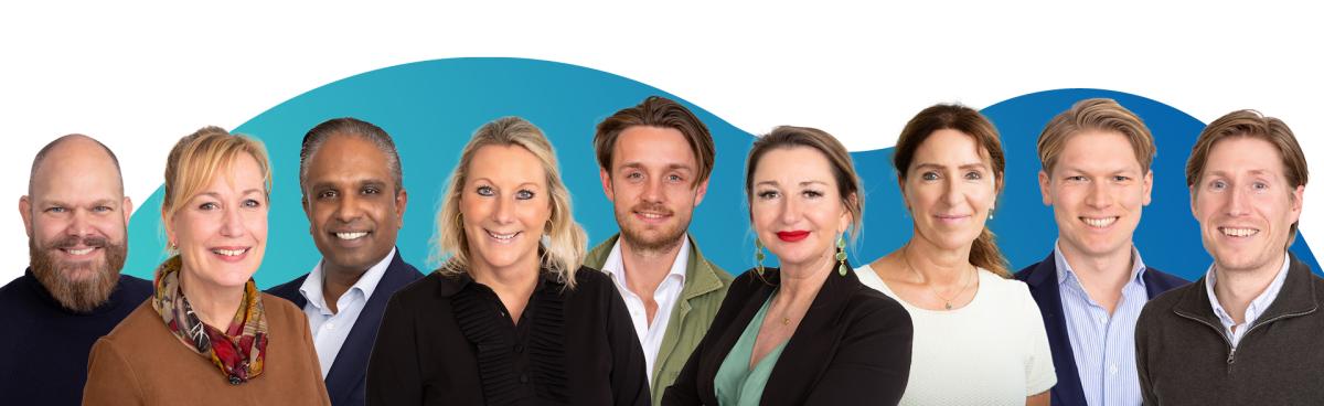 Meet the team