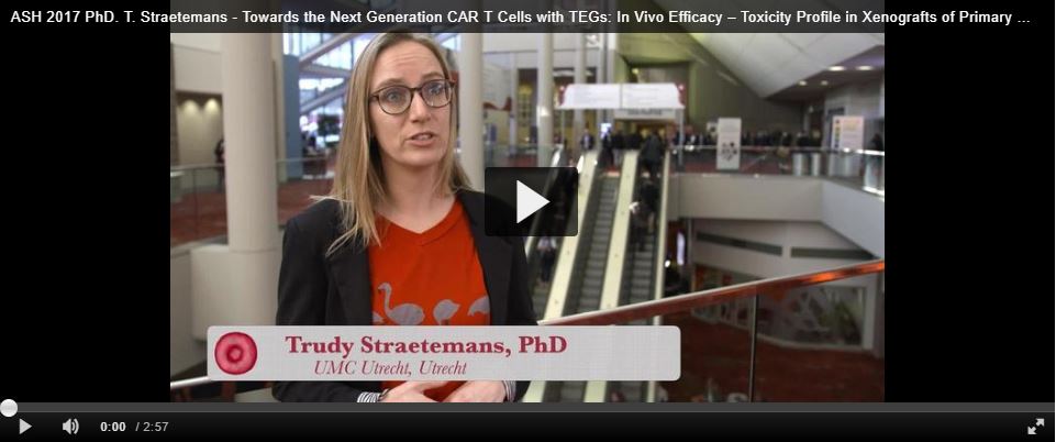 PhD. T. Straetemans
