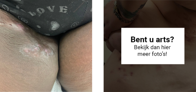 Bent u arts? Bekijk dan hier meer foto's!