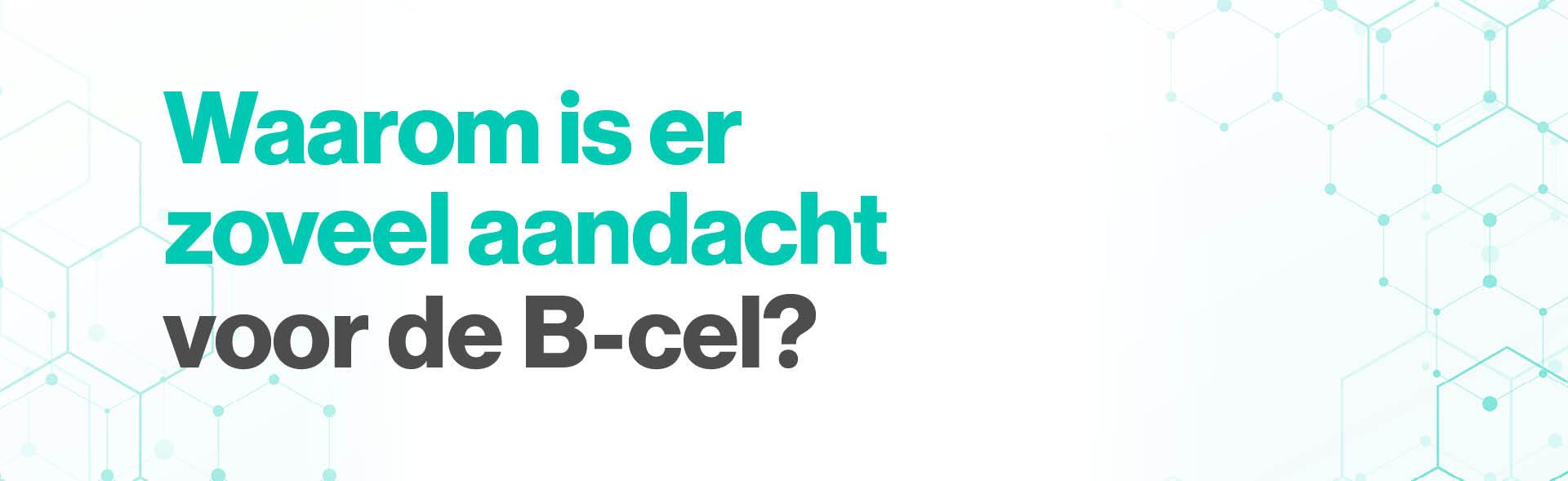 Waarom is er zoveel aandacht voor de B-cel?