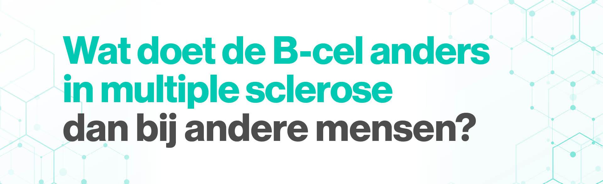 Wat doet de B-cel anders in mensen met MS?